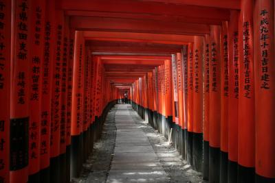 Fushimi Inari torii