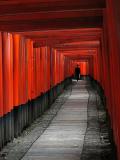 Path at the Fushimi Inari shrine