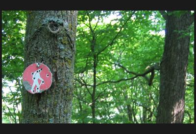 holes in the sign