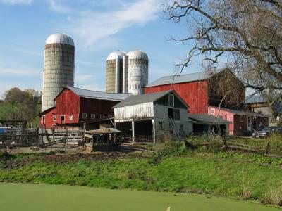 Hahn's Farm