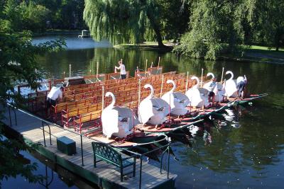 Preparing the Swan Boats