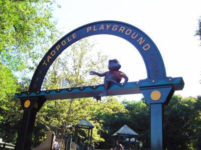 Tadpole Playground