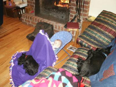 Asleep with dogs.JPG