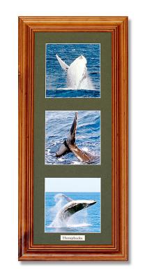 Whales Framed.jpg