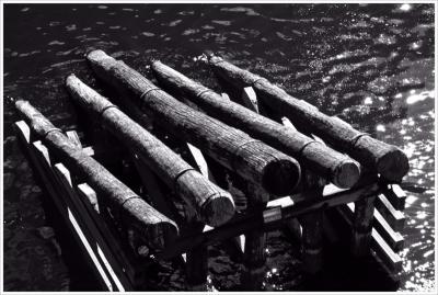 Prague Bridge Defenders