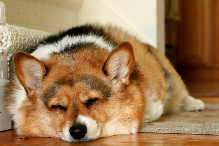 7.5 - Nap