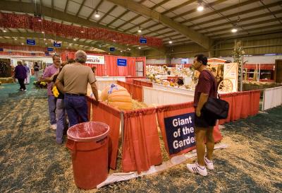 IMG_0064Fair