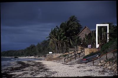 v3/92/197292/3/44281531.TurtleBaystorm_filtered.jpg