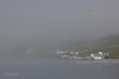 Ferryland Fog