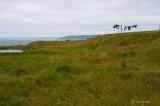 Island Semaphore
