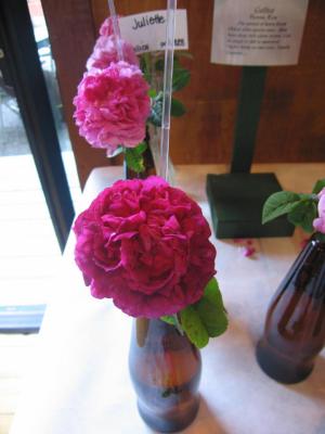 The Roses