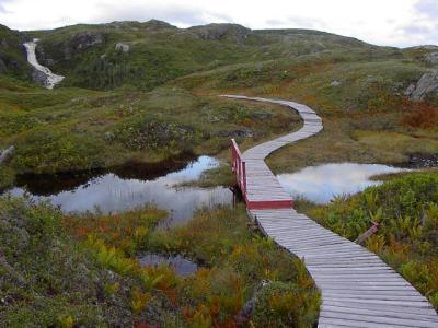 Boardwalk
