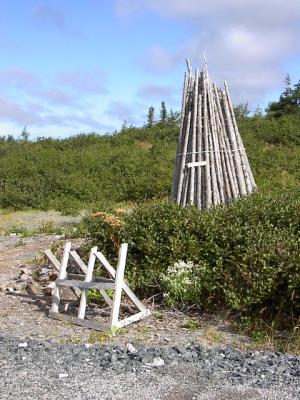Wood Piles
