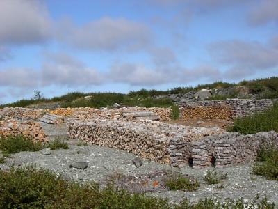 Wood Piles