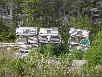 Lobster Season's Over