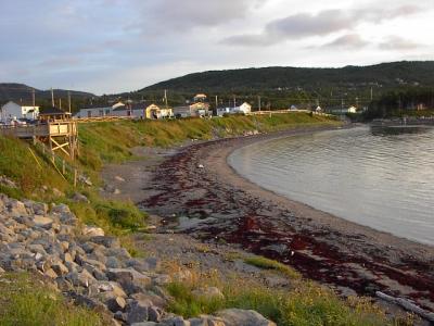 Coastline at Dusk