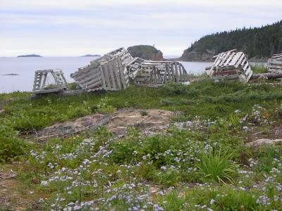 Lobster Traps