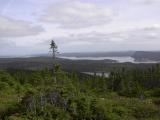 Terra Nova Park, Newfoundland