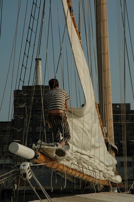 DSC_1133.jpg