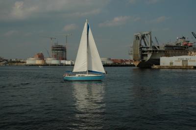 DSC_1123.jpg