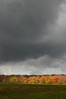 IMG_6983.JPG