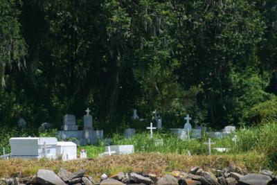 Swamp Graveyard