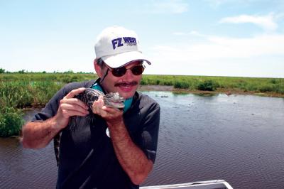 Wayne & the Baby Gator