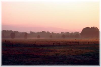 v3/92/484292/3/51197643.MorningHaze.jpg