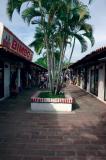 Marketplace - Mazatlan