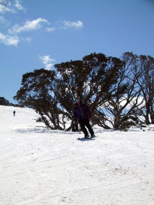 Skiing Down The Hill