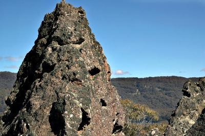 DSC_1134.JPG