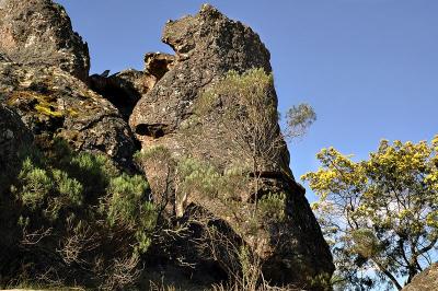 DSC_1177.JPG