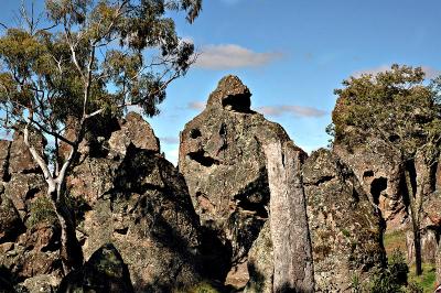 DSC_1189.JPG