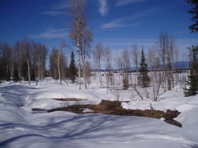 mccall
