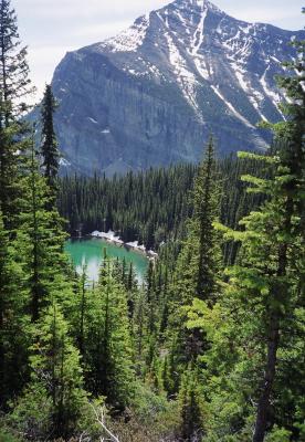 Lake Louise