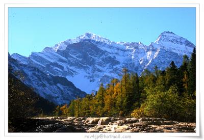 IMG_6059.jpg