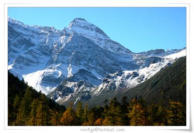 IMG_6072.jpg