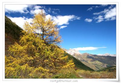 IMG_6131.jpg