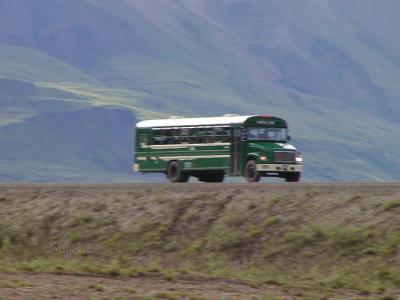 Denali Park Bus