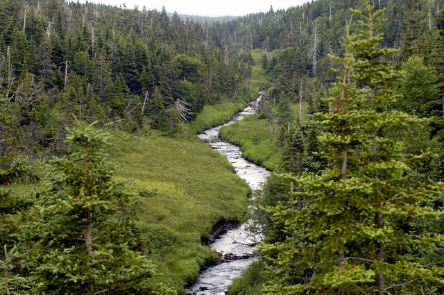 Cabot Trail