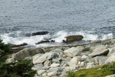 DSCF0233.jpg