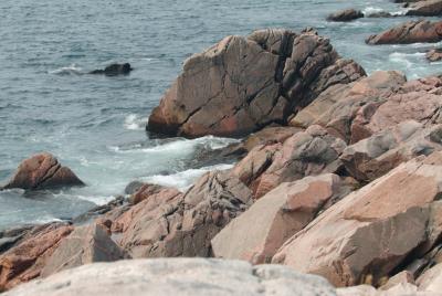 DSCF0328.JPG