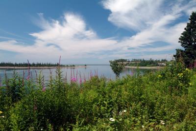 DSCF0589.JPG