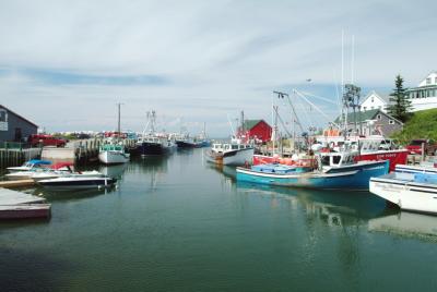 DSCF0733.jpg