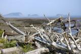 Bay of Fundy