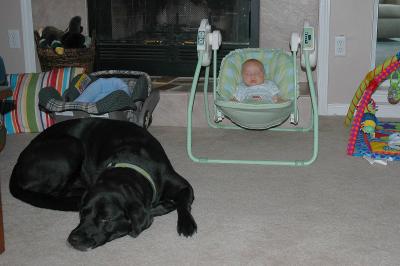 Millie the Babysitter - Memorial Day