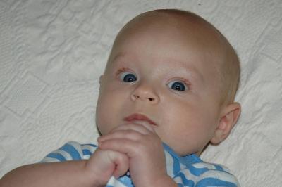 Brooks at 2 1/2 Months