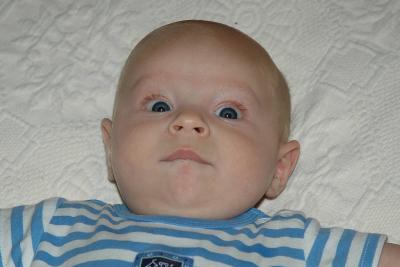 Brooks at 2 1/2 Months