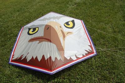 Kite demonstration at Windfest