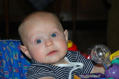 Brooks in Mega Saucer - 6 1/2 months